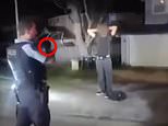 Forestville: Wild moment cops pull gun on teenager after house party spirals out of control