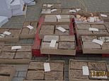 Birmingham gang who smuggled millions of pounds of cocaine inside raw chicken pallets are jailed