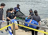 Summer horror as body is pulled from East River in front of shocked children at famous NYC carousel