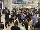 Chaos at Sydney Airport as several flights are cancelled and passengers face major delays