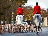 Fox hunters ‘should be protected under equality laws’ like Roma and LGBTQ+ people, campaign group claims as it seeks legal protection for those who have pro-hunting views