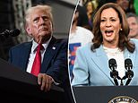 Kamala Harris takes massive lead over Trump in these four critical battleground states