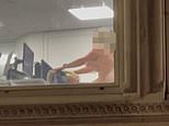 Cringe-inducing moment office workers are caught having sex in full view of passers-by in central London