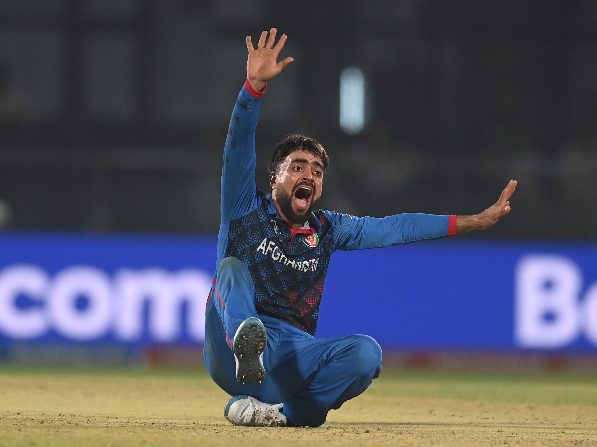 Afghanistan seal historic cricket series win against South Africa