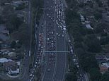 Peak-hour traffic delays in Sydney as multiple lanes on the M4 motorway are closed for police operation