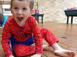 The devastating theory that detectives believe solves the William Tyrrell mystery