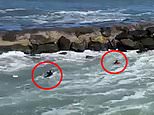 Teenage surfer rescues group of New Jersey fishermen after they fell into treacherous waters