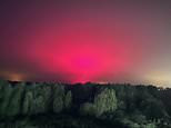 Aurora borea-miss! Delighted skywatcher posts pictures of stunning Northern Lights