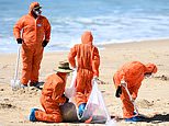 New details emerge after mysterious tar balls washed up on Australia’s most iconic beaches