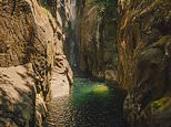 Grave fears for a missing hiker who fell at   Babinda Falls in far north Queensland