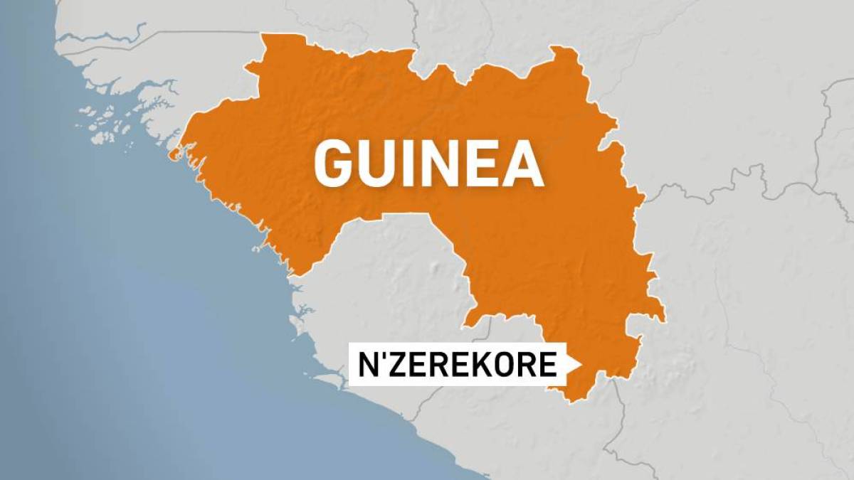 Dozens feared dead after stampede breaks out at Guinea football match