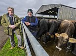 The ‘re-engineering of the cow’ that’s sparked a new eco-war: There’s even more Bovaer in the food chain than anyone realised…and it has sparked an epic battle among shoppers and farmers