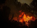 Palisades fire trucks bulldoze cars abandoned by Los Angeles locals trying to evacuate inferno: Live updates