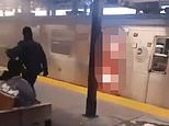 Debrina Kawam, 57, identified as woman burned to death ‘by migrant’ on NYC subway as NYPD shares horrifying new detail