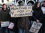 Labour closes in on outlawing trail hunting: Government warns practice is being used as a ‘smokescreen’ for killing foxes and hares