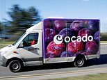 Ocado is ridiculed by customers over ‘atrocious’ Christmas substitute choices items after retailer suffers delivery malfunction