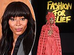 Supermodel Naomi Campbell was the victim of a ‘concerted deception’ by a colleague which led to her being banned from being a trustee of her own fashion charity