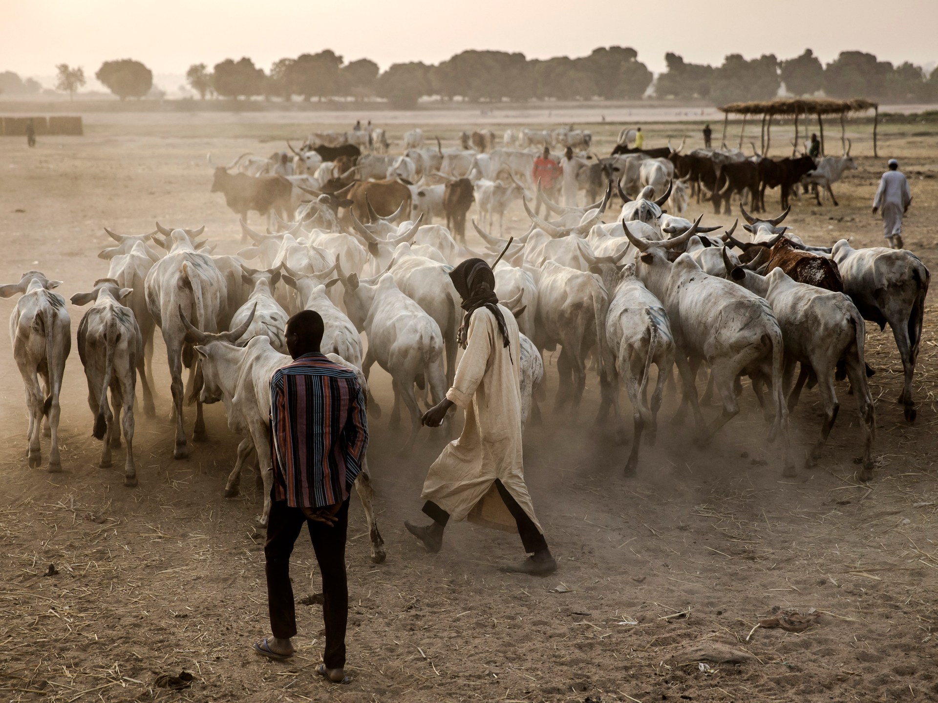 Herder-farmer clashes in Nigeria kill at least 17