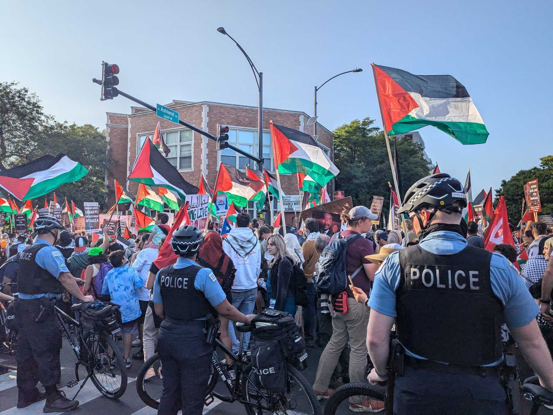 What is Project Esther, the playbook against pro-Palestine movement in US?