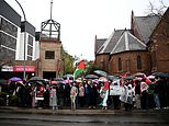 Chaos erupts outside Anthony Albanese’s office as pro-Palestine demonstrators demand action after Greta Thunberg was detained by Israeli forces