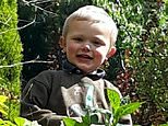 Mother of boy, three, mauled to death in dog attack ‘found son face down with blood and marks all over his neck’, court hears