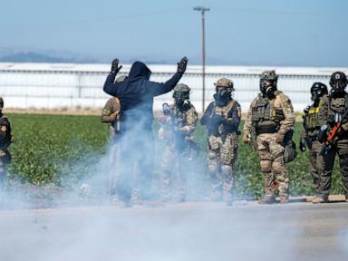 1.2M immigrants are gone from the US labor force under Trump, preliminary data shows