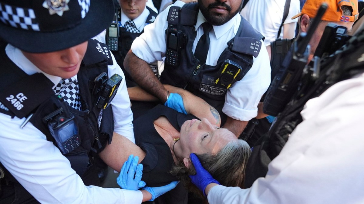 UK police detain dozens at London protest against Palestine Action ban