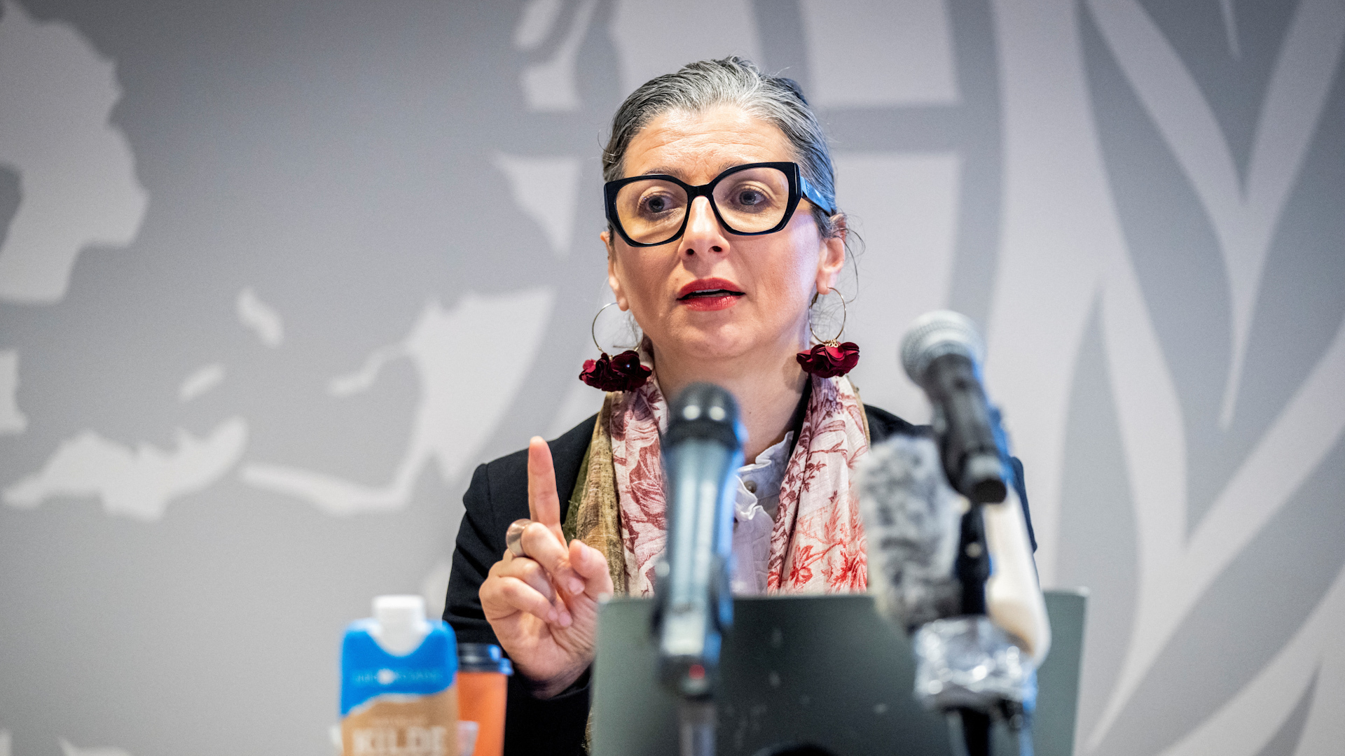 UN expert Albanese says US sanctions won’t stop her