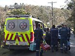 Mother left fighting for life and her two sons found with stab wounds in a Leura house as cops race to the scene