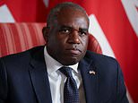 ‘Don’t tell us where to build’: Israeli ambassador hits back at David Lammy after Labour blasted country’s controversial settlement plan