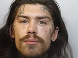 Marco Pierre White Jr pleads guilty to burglary AGAIN: Troubled reality star stole £1,500 worth of Jellycats and ’caused £43k of damage to antiques store’ in west London crime spree