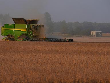 American farmers welcome China’s promise to buy soybeans