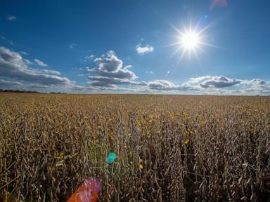 4 Republicans back Senate resolution to undo Trump’s tariffs around the globe