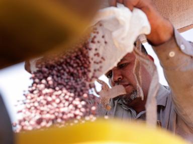 Brazilian farmers beef up soybean production as China halts business with US during trade fight