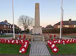 Remembrance Day poppy display is axed after Labour-run council’s flag-flying crackdown