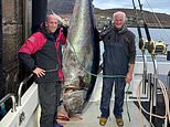 Looks like Scots tuna fishermen are gonna need a bigger boat!