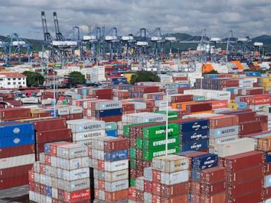 Resilient in face of tariffs, world economy forecast to grow 3.2%, OECD says