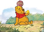 Town set to host 600 asylum seekers spends £450,000 on Pooh’s birthday