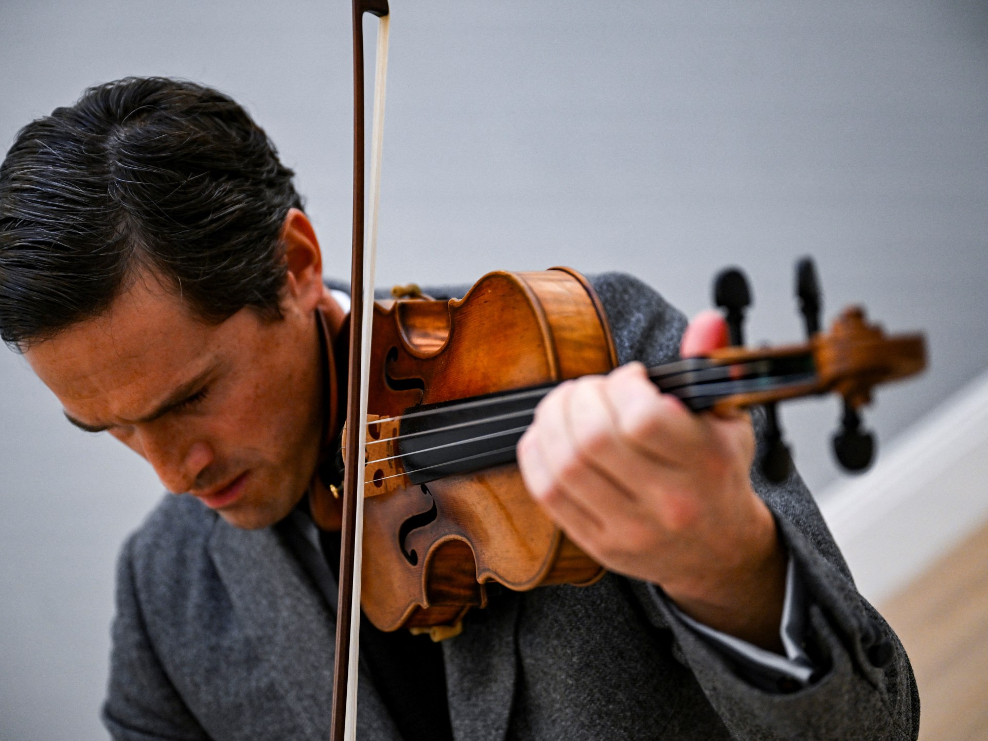 Conservationists want to protect brazilwood. So why are musicians alarmed?