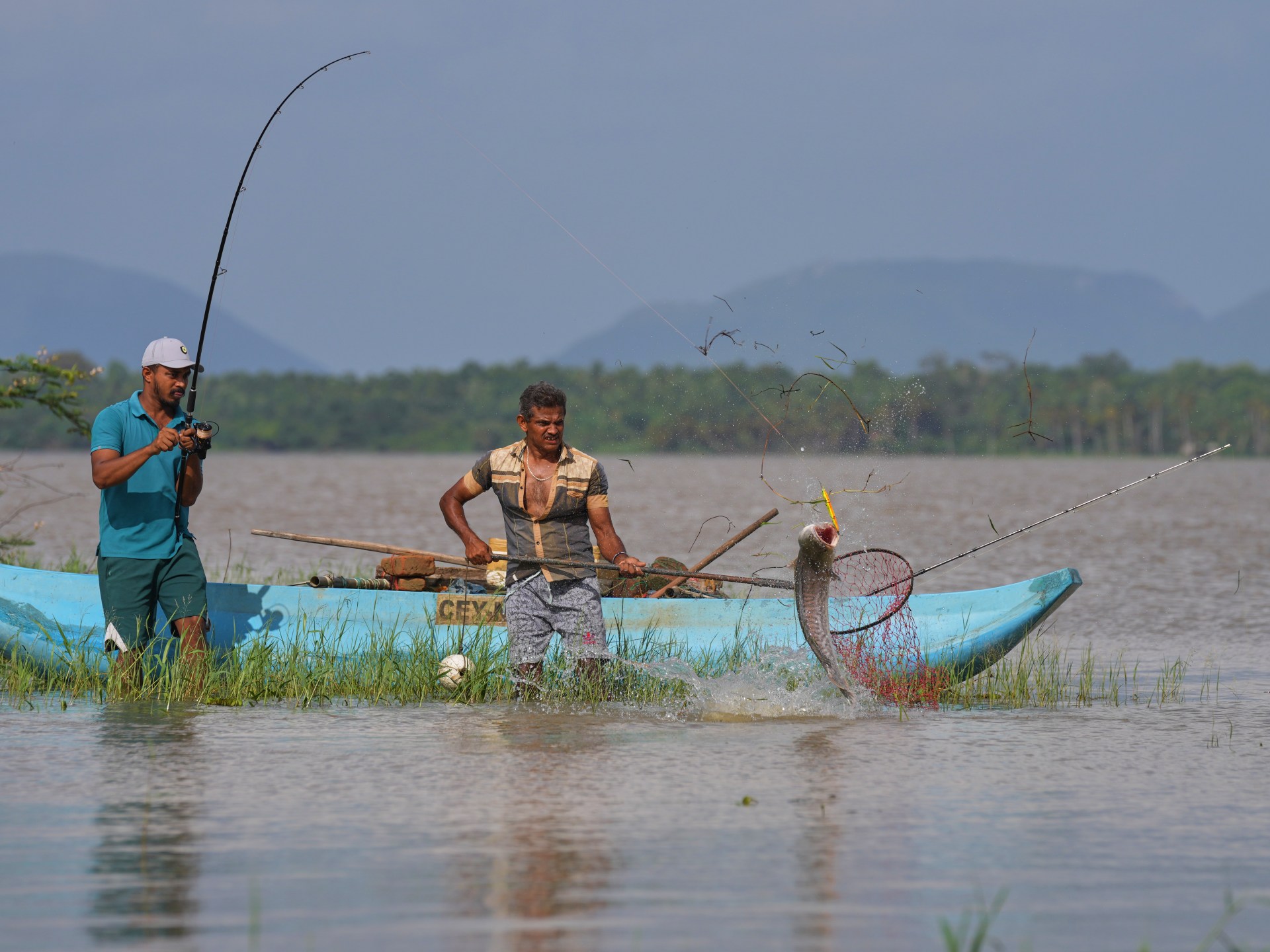Sri Lankan villagers adapt to threat of snakehead fish invasion