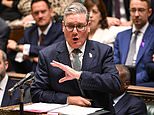 As Sir Keir told the Commons Labour are a ‘united team’, backbenchers stared, arms crossed, wondering: Can’t we send him back and ask Ikea for a refund? writes QUENTIN LETTS