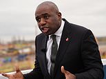 David Lammy mocked for ‘ordering civil servants’ at the Ministry of Justice to call him ‘Deputy Prime Minister’