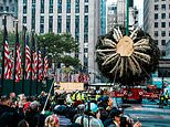 This year’s 80ft 12-ton Rockefeller Center Christmas tree rides into NYC to kick off the holidays