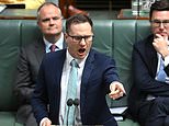 ‘Please don’t use that word’: Uproar in Parliament as senior Liberal fires a ‘completely unacceptable’ slur at JIm Chalmers