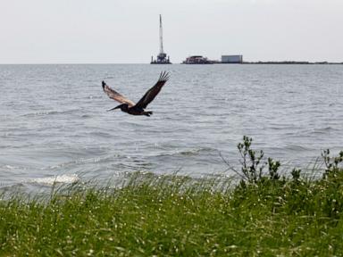 Record $9.6M fine for Third Coast after substantial oil spill in the Gulf of Mexico