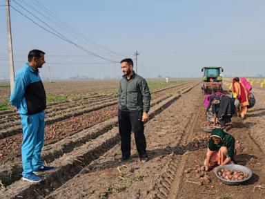 From automated farm tractors to exam paper grading, AI boosts efficiency for some in India