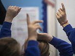 Four in five councils face bankruptcy due to rocketing bills for special educational needs