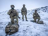 Denmark sends ‘substantial contribution’ of troops to Greenland amid growing tension with US as Trump refuses to rule out invasion