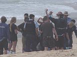 Sydney rocked by THIRD shark attack in just 24 hours as beachgoer is rushed to hospital fighting for life