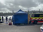 Shark attack in Sydney Harbour: Boy is fighting for life after being pulled from the water at Nielsen Park and airlifted to hospital